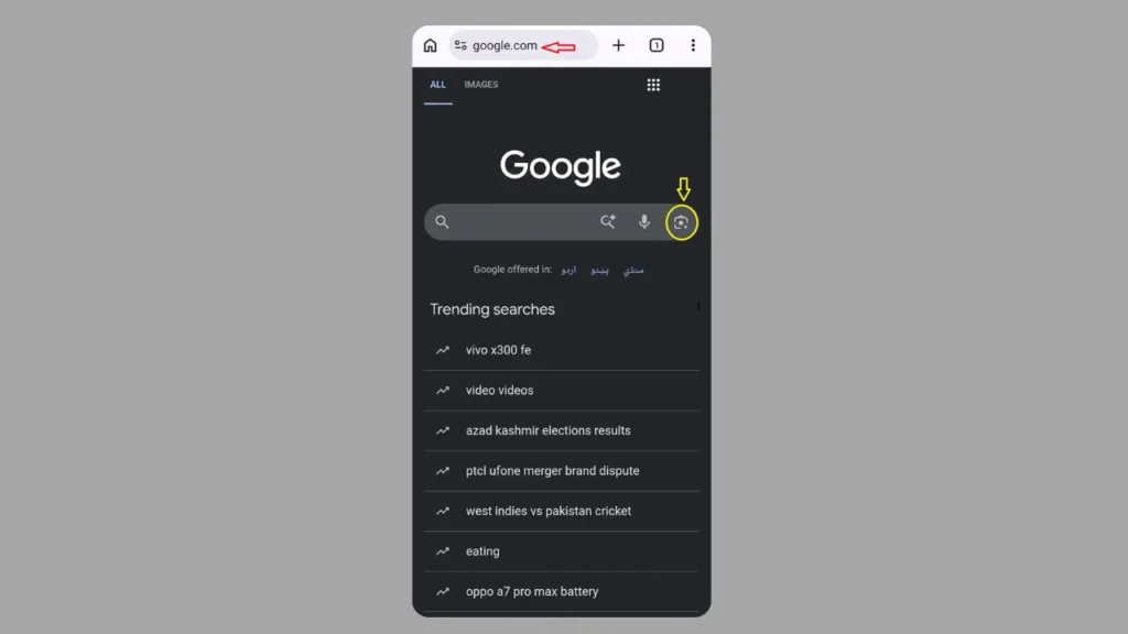 Open Google Lens from the Google App